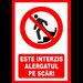 Placuta este interzis alergatul pe scari